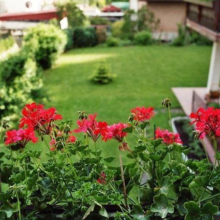 Ferienwohnungen Im Herzen Des Pfaelzerwaldes Elmstein Zewnętrze zdjęcie