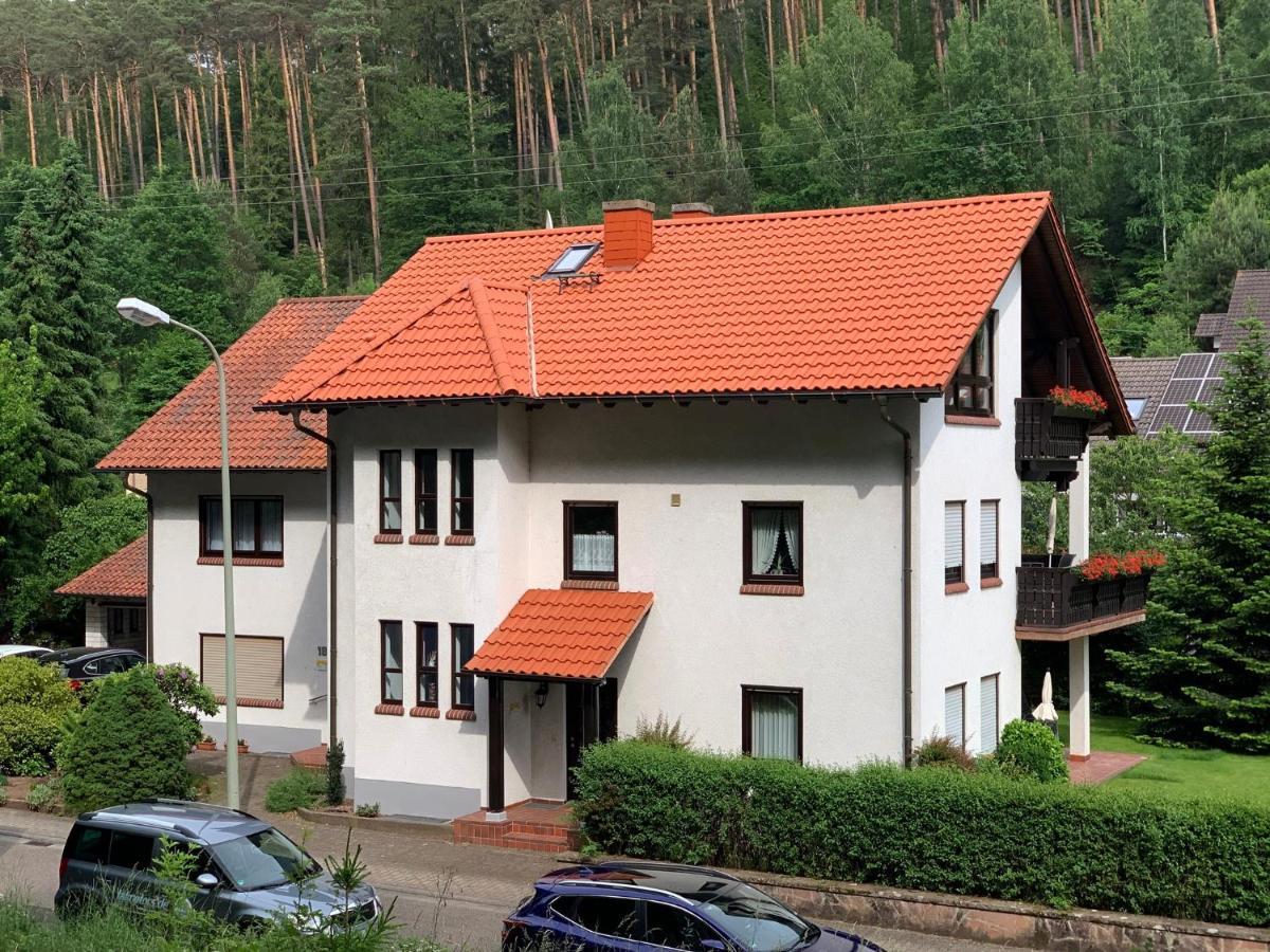Ferienwohnungen Im Herzen Des Pfaelzerwaldes Elmstein Zewnętrze zdjęcie