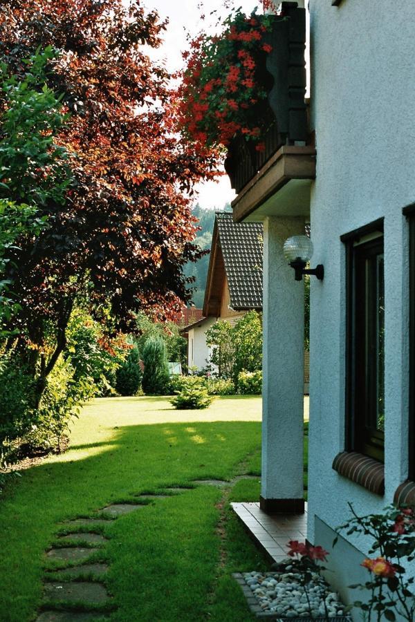 Ferienwohnungen Im Herzen Des Pfaelzerwaldes Elmstein Zewnętrze zdjęcie